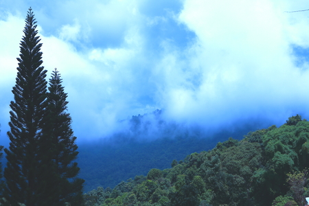 Natural in Doi Suthep at Chiang-Maiの写真素材