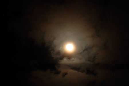 Moon Light