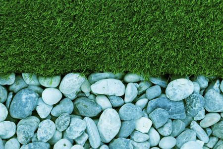 Grass and mini stone in groundの写真素材