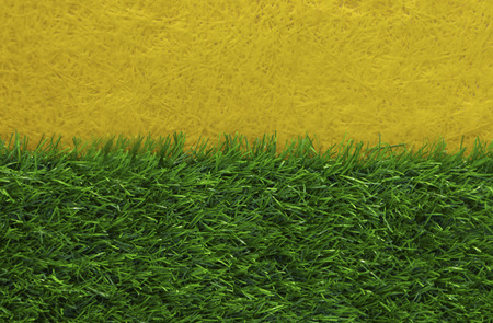 The Grassの写真素材