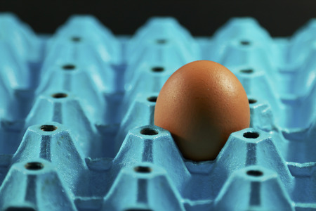 Egg for decorationの写真素材