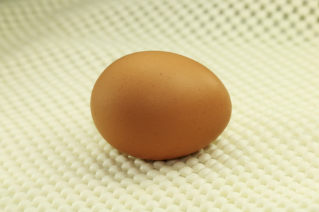 Chicken eggs in the bucket for background.