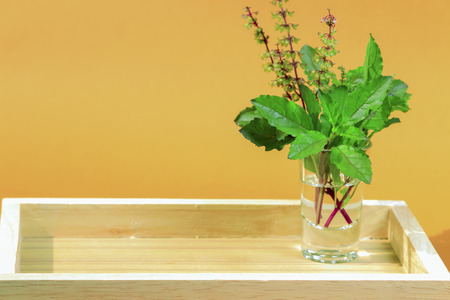 Thai herb on wooden background.の写真素材