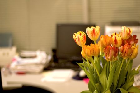 workplace in office with flowers on the tableの写真素材