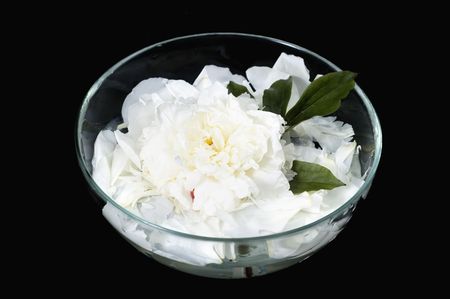bowl with white peonies の写真素材