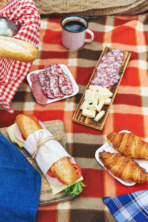 picnic at forest with sandwiches and croissantの写真素材