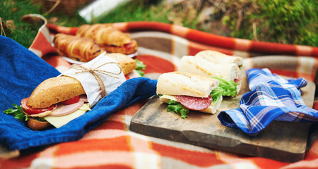 picnic at forest with sandwiches and croissantの写真素材