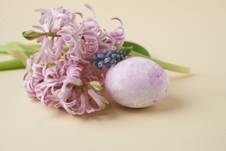 pink hyacinth and painted eggs on beigeの写真素材