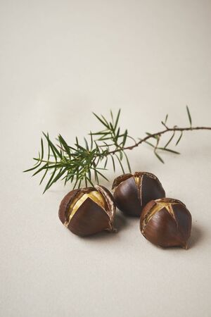 fried chesnut on beige backgroundの写真素材