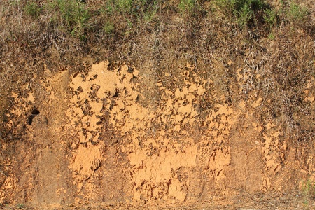 cracked soil with grass