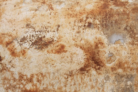 Grunge concrete wallの写真素材