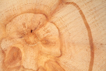 Full frame of Lumber, texture background の写真素材