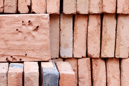 red brick and dog footprint