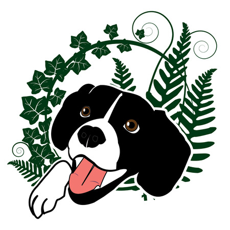 Cute happy dog, portrait -isolated on the white backgroundのイラスト素材