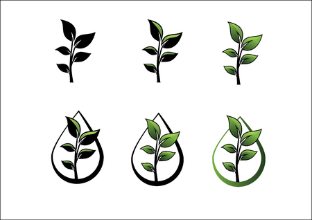 Plant and a drop of waterのイラスト素材