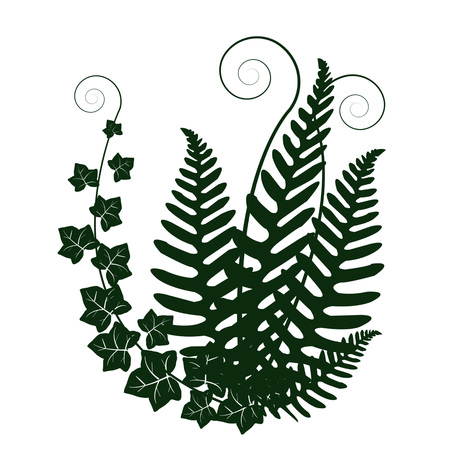 Forest plants on plain background.のイラスト素材