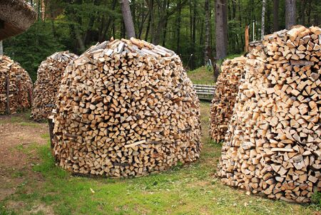lumbered chopped firewood for the winter and piled in large packs. Melnsils, Kempings, Latvia 06 June 2019.のeditorial素材