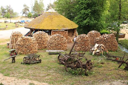 lumbered chopped firewood for the winter and piled in large packs. Melnsils, Kempings, Latvia 06 June 2019.のeditorial素材