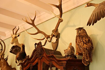 Interesting and unusual interior in the rooms of the Munchausen Museum. Saulkrasti. Latvia. May 4, 2019のeditorial素材