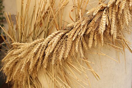 Rye dried ripe ears of braided around a stone column.