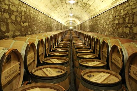 Wine in wooden barrels is stored for aging in the cellars of the plant. Elciego, Spain June 22, 2019.のeditorial素材