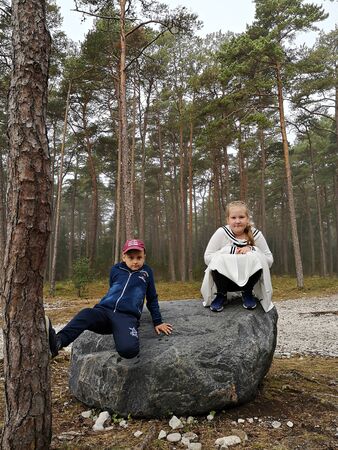 Boy and girl on large boulder at the edge of the forest.のeditorial素材