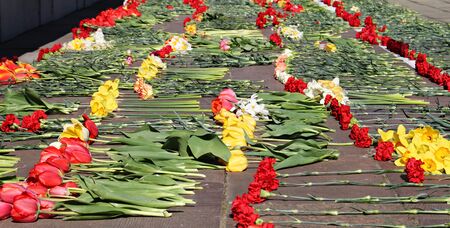 Many natural flowers of tulips and carnations on a marble slab on May day.