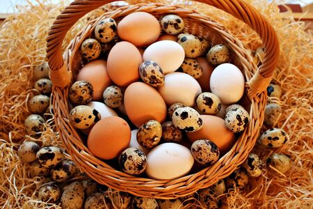 Chicken and quail eggs as a tradition for people to celebrate Easter.の写真素材