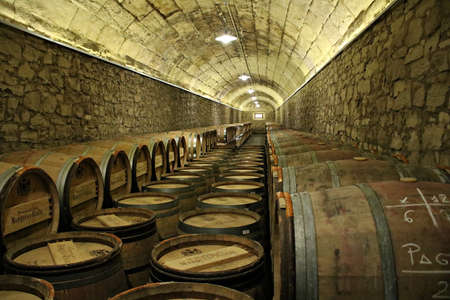 Red and white wine in wooden barrels is stored for aging in many cellars of the plant. Eltsiego,...