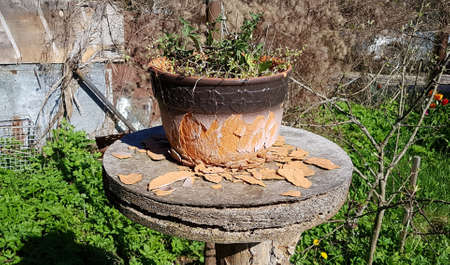 Old crumbling small flower pot on a wooden stand among the beds in the villageの写真素材