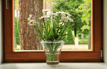Bouquet of wild flowers chamomile in a glass vase on the windowsillの写真素材