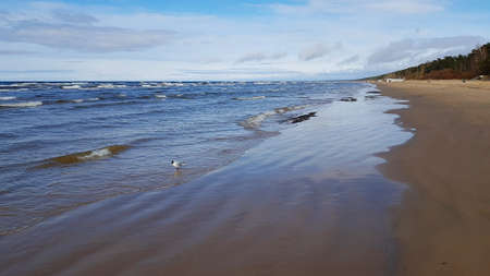 Sandy beach in early spring and light swell on the surface of the bay.の写真素材