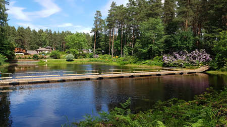 Small lake in a park in the Latvian village of Babite in June 2021.のeditorial素材