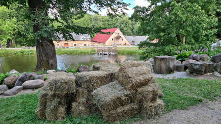 Square bales of dried hay prepared for the animals for the winter season next to a reservoir in Latvian Jaunpils in the summer of 2021のeditorial素材