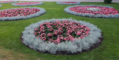 Round beds of colorful autumn flowers are planted on the green lawn.