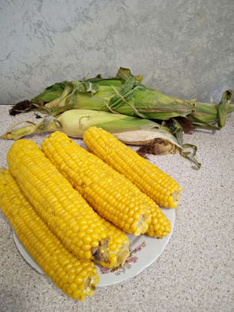 Freshly cooked corn cobs on a plate are good for children and adults