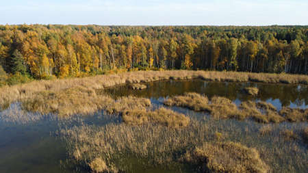 Panorama of the water surface of lakes and colorful forests in the autumn.