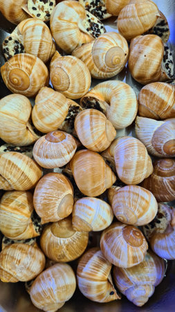 Snails cooked in seafood restaurant for lovers of such delicacies