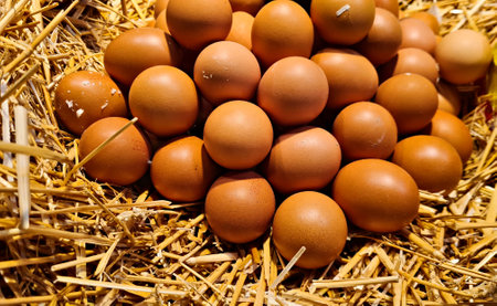 Chicken eggs are stacked on dry straw in rustic barn