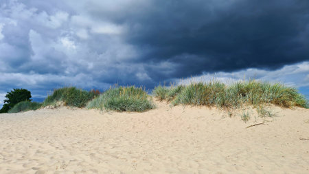 Dark thick rain clouds covered the entire sky against the backdrop of sand dunesの写真素材