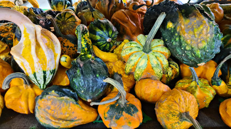 Different types of vegetables are collected from garden and brought into the barn for storage