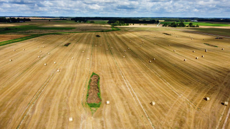 Many scattered rolls of straw on field outside the village after the wheat harvest filmed by drone...