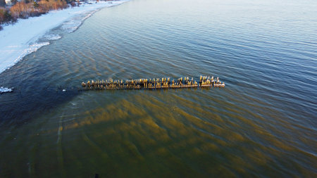 An old breakwater built from wooden piles in sea near shore on sunny winter dayの写真素材