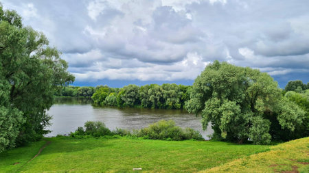 River with banks overgrown with green grass and dense bushes against background of gray sky