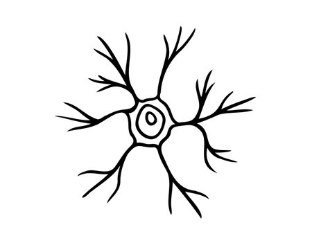 neuron cell doodle hand drawn icon. Outline pyramidal neuron cell drawing line clipart symbolのイラスト素材