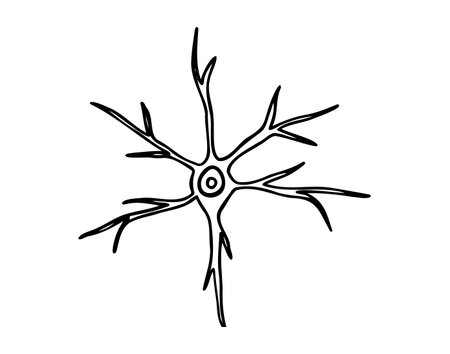 neuron cell doodle hand drawn icon. Outline pyramidal neuron cell drawing line clipart symbolのイラスト素材