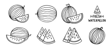 watermelon and watermelon slices summer doodle hand drawn icon set. Outline drawing watermelon line clipart symbol collectionのイラスト素材