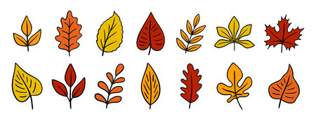 autumn leaves different trees doodle hand drawn icon set. Fall leaves colorful cartoon drawing line clipart symbol collectionのイラスト素材