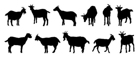 goat and goat kid silhouette set. goat and goat kid isolated farm animal silhouette icon vector collectionのイラスト素材