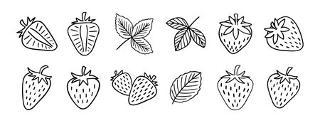 strawberry berries and leaves doodle hand drawn icon set. Outline drawing line clipart symbol collection.のイラスト素材